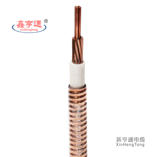 BTTW 0.6/1KV 1X70mm²